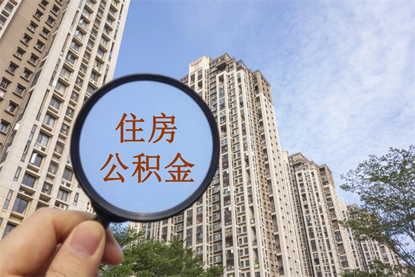 新野住房公积金可以提取几次(公积金提取可以用几次) 新野住房公积金可以提取几次(公积金提取可以用几次)